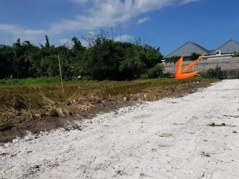 TANAH SUBAK TELAGA KETEWEL GIANYAR - Real Estate in Bali