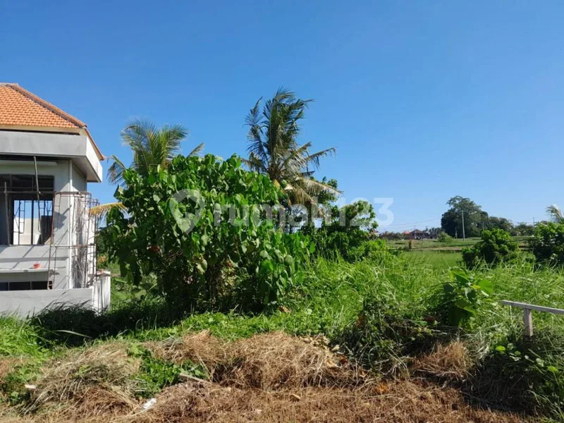 Tanah Jual Lokasi Kedungu - Bali in Bali