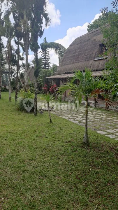 Jual Tanah Dekat Ubud + Bangunan - Real Estate in Bali