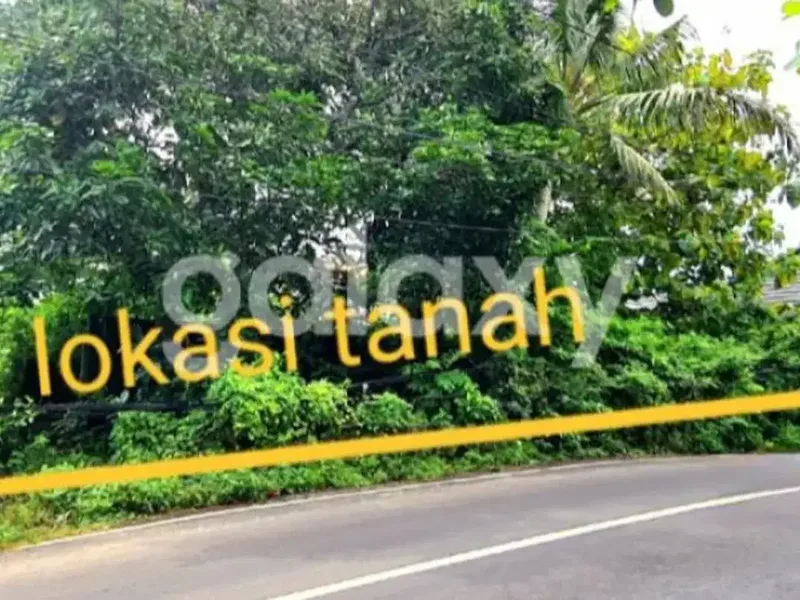 TANAH PINGGIR JALAN DI BELIMBING SARI PECATU BADUNG, BALI - Real Estate in Bali