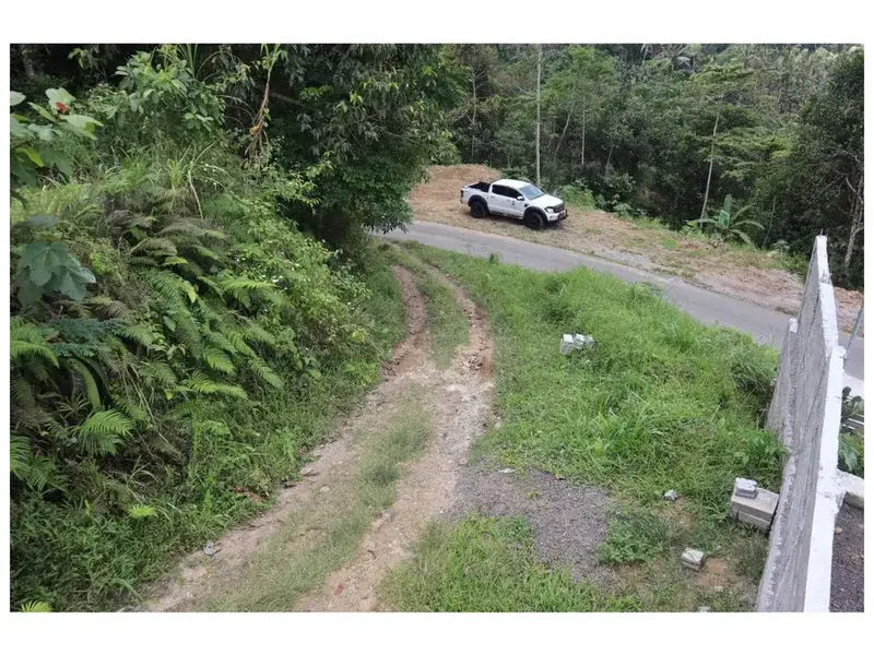 Dijual Tanah Strategis di Desa Apuan, Kecamatan Baturiti, Tabanan - Real Estate in Bali