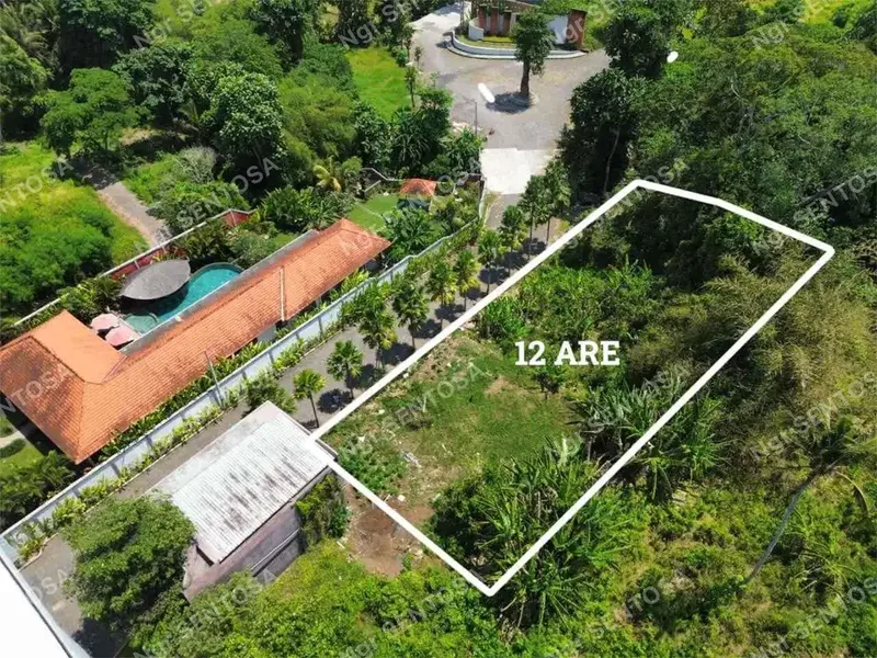 Tanah Sewa Kedungu For Lease - Real Estate in Bali