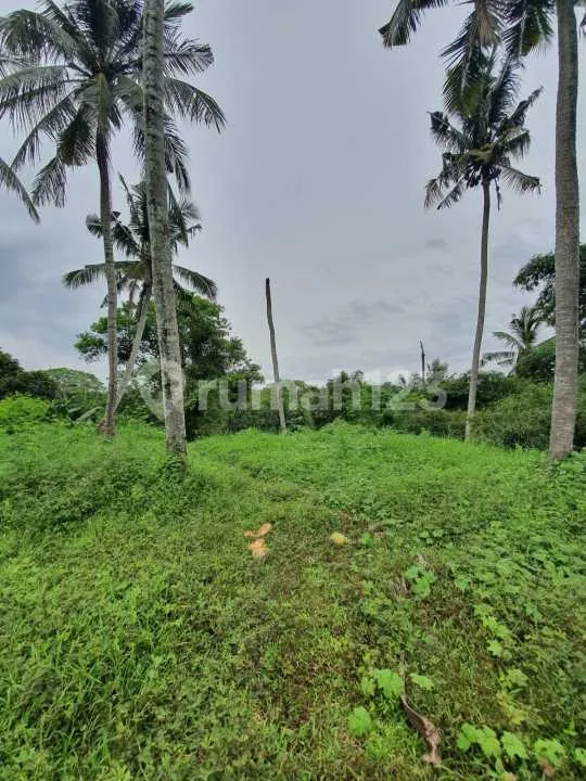 Freehold - Rare Oppotunity Exclusive Land With Rice Field Views And Riverside In Green Lot, Cemagi, Bali - Bali in Bali