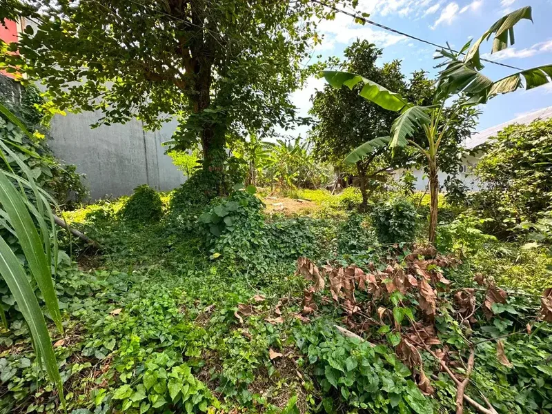 TANAH KOSONG DI PONDOK INDAH CARGO UBUNG DEKAT RUMAH SAKIT - Real Estate in Bali