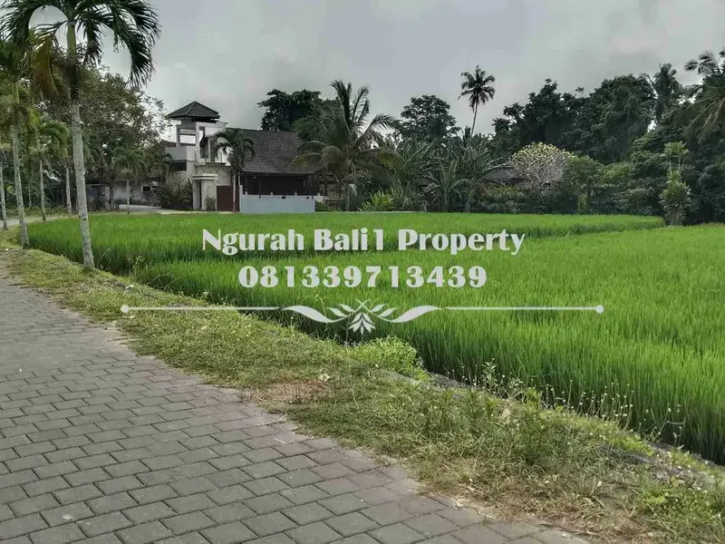 Tanah Dijual Murah Luas 47,95 Are Kawasan Villa di Tengkulak Ubud - Real Estate in Bali