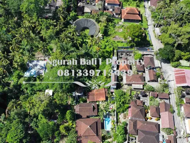 Tanah Premium Disewakan Luas 16,35 Are Kawasan Villa Lokasi Deket Pelangi School Ubud - Real Estate in Bali