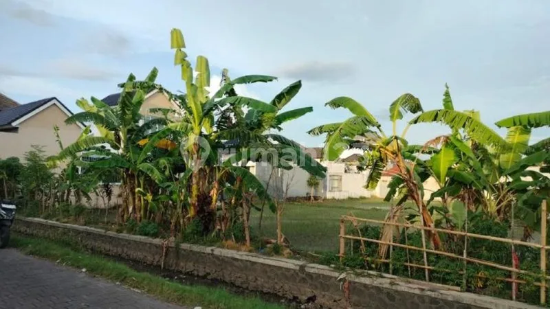 Tanah Premium dan Strategis di Area Renon Denpasar - Bali in Bali