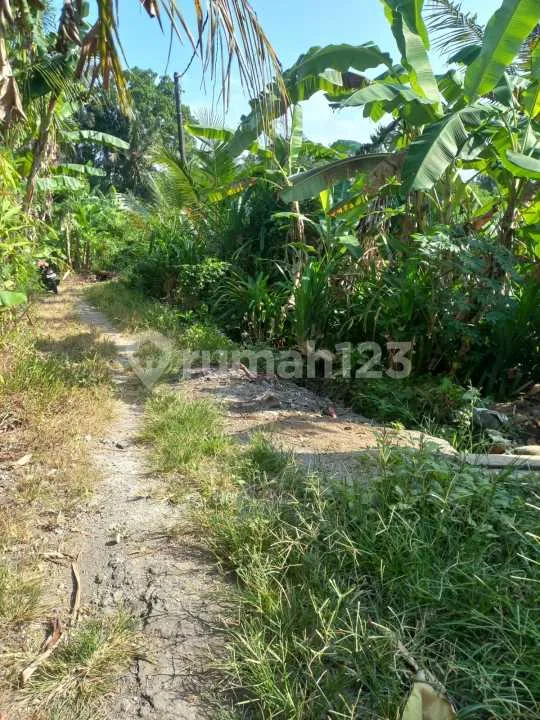 Tanah Riverside Dekat Ciputra Beach SHM & IMB Ready - Bali in Bali