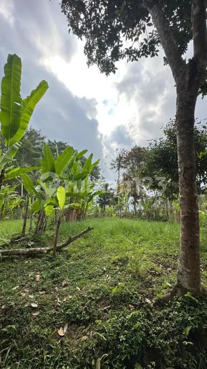 Tanah 2200M Payangan Ubud Dekat Resort Zona Kuning - Real Estate in Bali