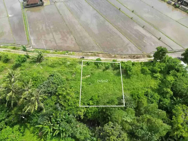 tanah plot kecil dekat pantai kedungu tabanan sangat bagus di bangun villa - Real Estate in Bali