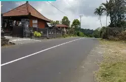 Tanah view gunung dan laut di kintamani - Real Estate in Bali