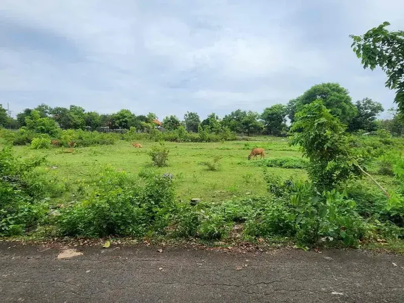 Dijual Tanah Dekat Pantai Balangan - Bali in Bali