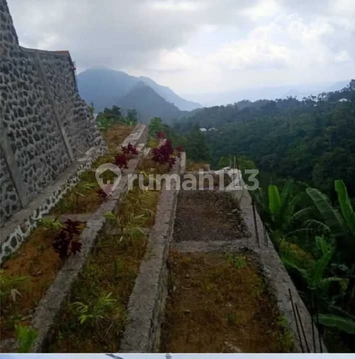 Tanah 6,5 Hektar Pinggir Jalan Bedugul - Super Murah! Investasi Pariwisata - Bali in Bali