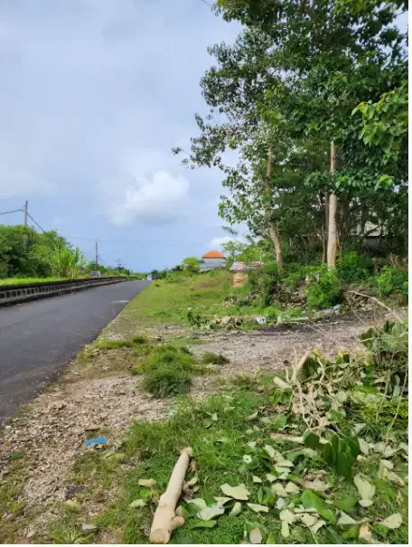 Land For Lease at Kutuh Pandawa - Real Estate in Bali