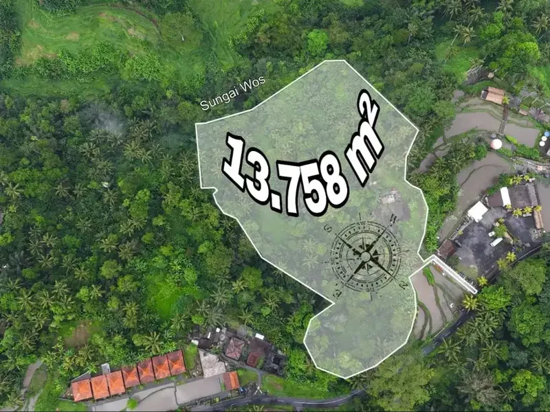 Tanah 1,3 Hektar View Sawah dan Jungle Dekat Rice Terrace Ubud - Real Estate in Bali