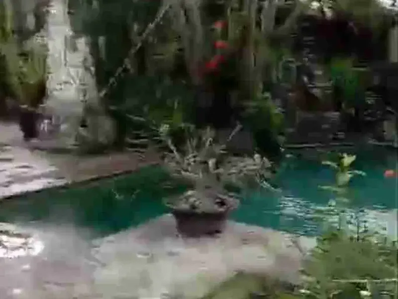 tanah bonus villa beachside jalan bumi ayu sanur bali - Bali in Bali