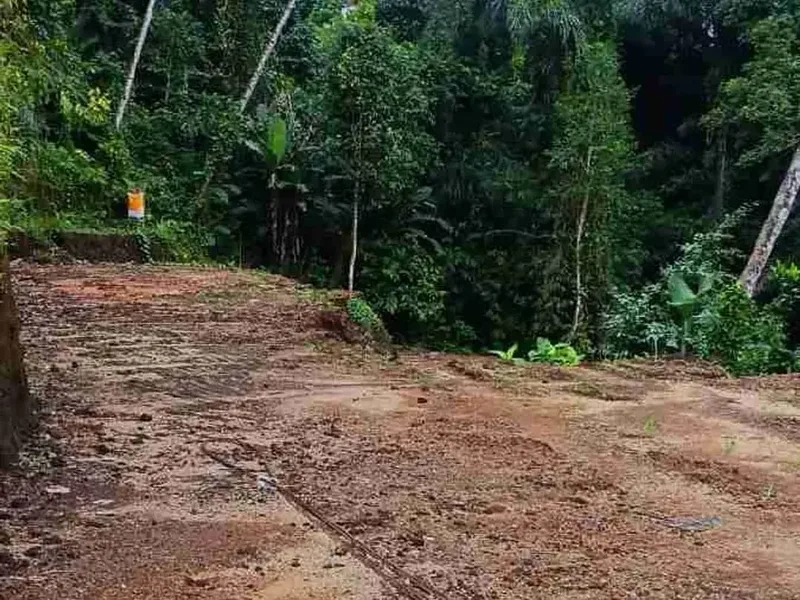 Tanah Los Sungai View Jungle di Tegalalang Ubud Bali - Real Estate in Bali
