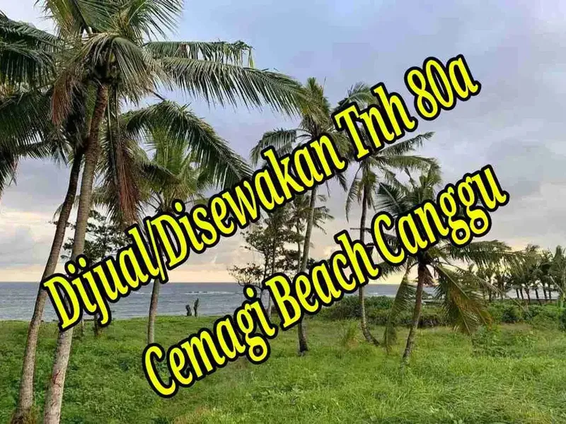 Dijual/Disewakan Tanah 80a di Cemagi Beach Canggu Bali - Real Estate in Bali