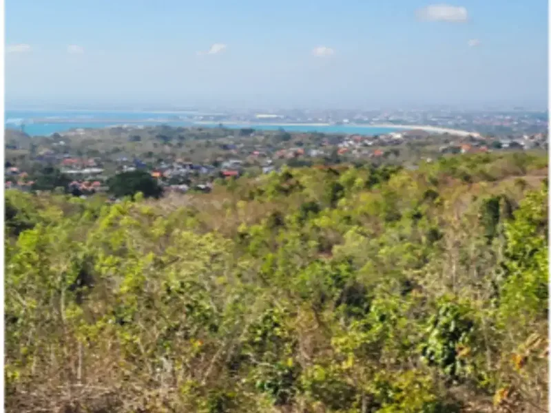Tanah View Laut di Balangan - Real Estate in Bali