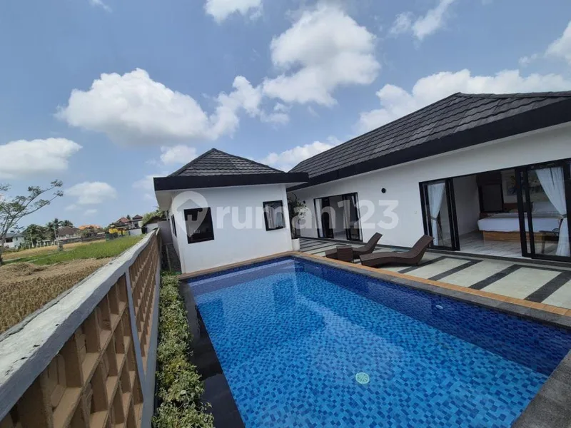 Brand New Villa For Rent In Ubud - Bali in Bali