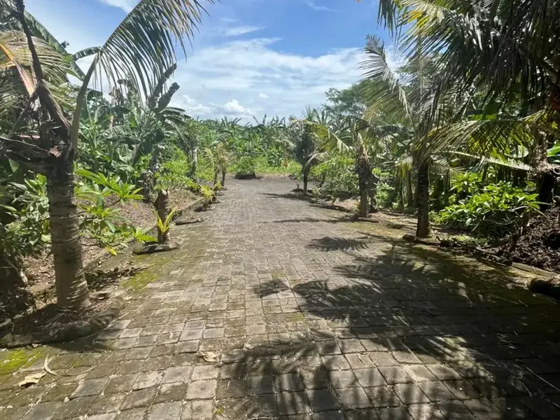 Kavling Premium di Gianyar Cocok untuk Investasi - Real Estate in Bali
