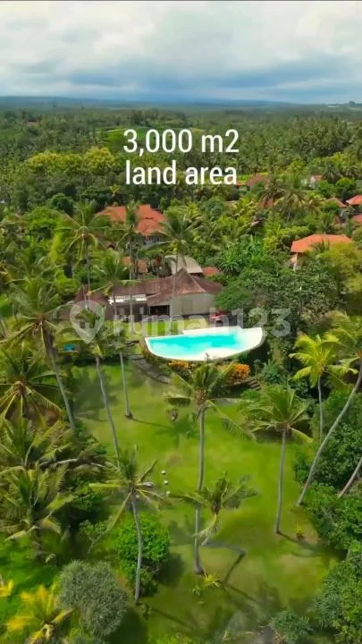 Villa Lux Dpn Pantai Persis Luas Furnished Pool Strategis Tabanan - Real Estate in Bali