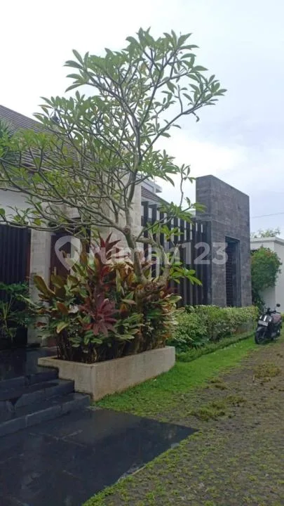 Disewakan Luxury Villa For Lease In Canggu - Real Estate in Bali