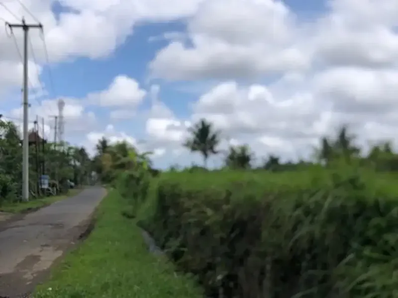Tanah Murah Dekat Ubud View Sawah Luas 28,2 Are Cocok Villa di Pejeng, Gianyar - Real Estate in Bali