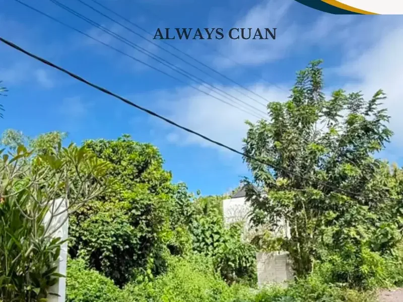 DIJUAL TANAH DI LINGKUNGAN VILLA – UNGASAN, BALI - Bali in Bali