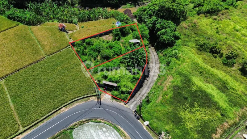 Jual Tanah Murah View Sungai Sawah dan Jungle Dekat Ubud - Real Estate in Bali