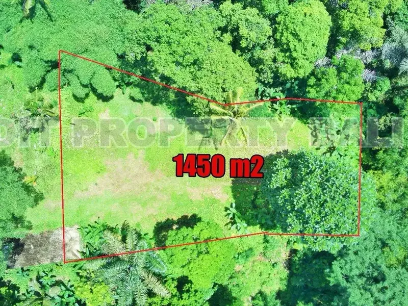 Tanah View Jungle & Sungai Payangan Ubud Gianyar Bali - Real Estate in Bali