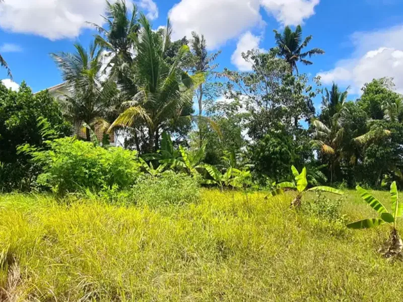 DIJUAL TANAH HOOK DI GIANYAR - Real Estate in Bali