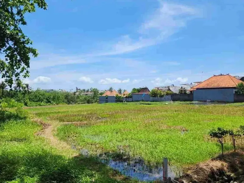 TANAH JALAN UTAMA PANTAI SESEH BADUNG BALI - Bali in Bali