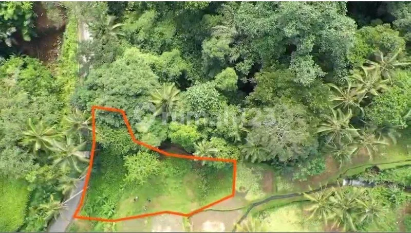 Tanah Murah Los Sungai Zona Kenderan Tegalalang Ubud Bali - Real Estate in Bali