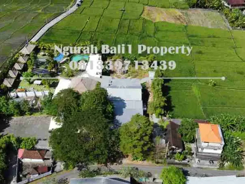 Land For Rent Murah 2160 m2 View Sawah Kawasan Villa di Ubud - Real Estate in Bali
