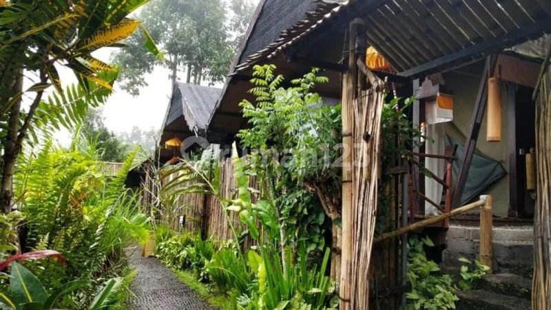 Glamping Jatiluwih Penebel Tabanan, Bali - Real Estate in Bali