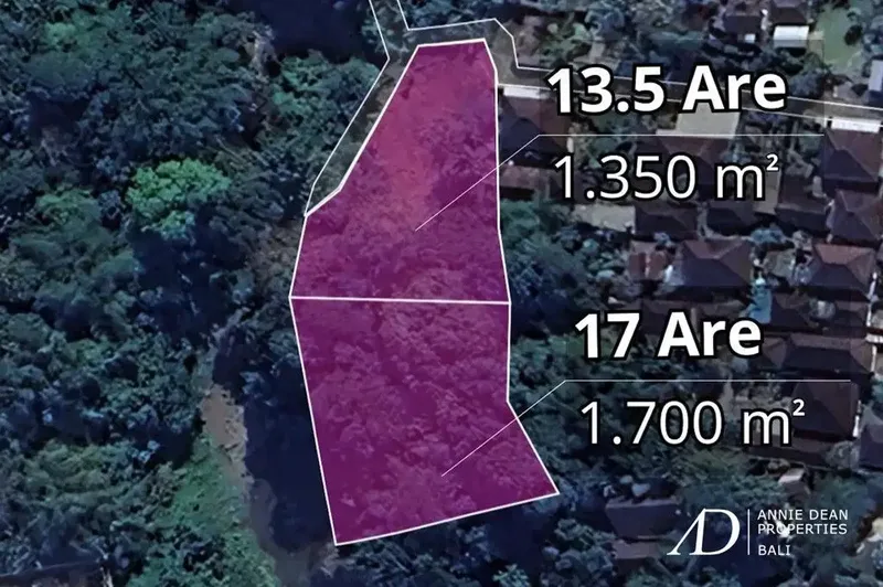 FREEHOLD RIVERFRONT LAND WITH JUNGLE VIEWS - PRIME INVESTMENT IN CEPAKA - Real Estate in Bali