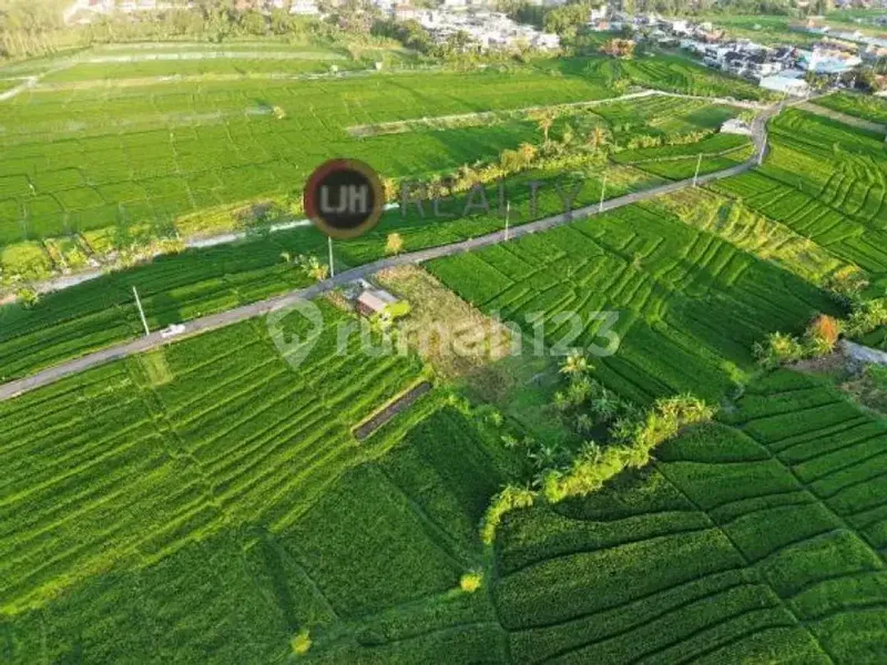 Dijual Tanah Munggu Badung Bali Dekat Pantai Munggu - Bali in Bali