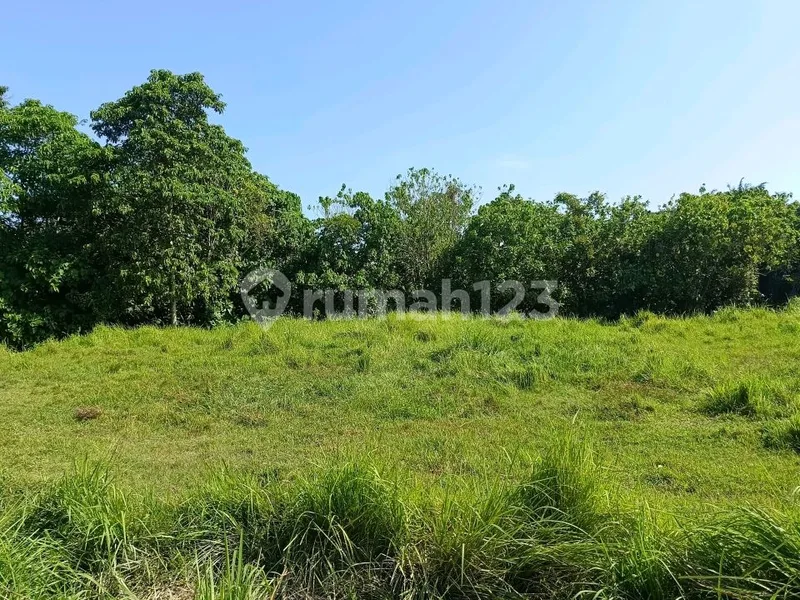 Tanah Cocok untuk Gudang di Ketewel Gianyar - Real Estate in Bali