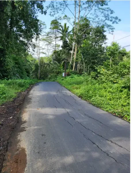 Tanah 6,4 Are di Tegalalang Ubud - Real Estate in Bali