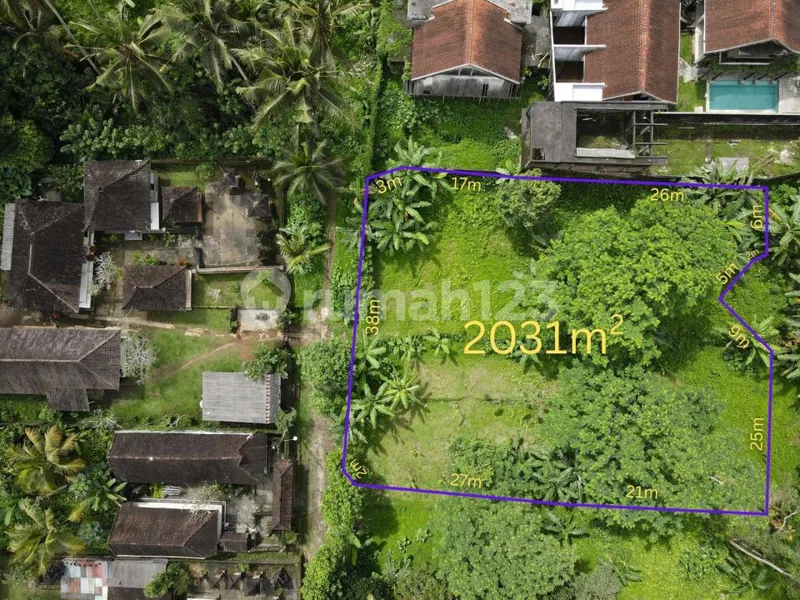 Dijual Tanah Kawasan Villa Di Ubud Central view pedesaan - Real Estate in Bali