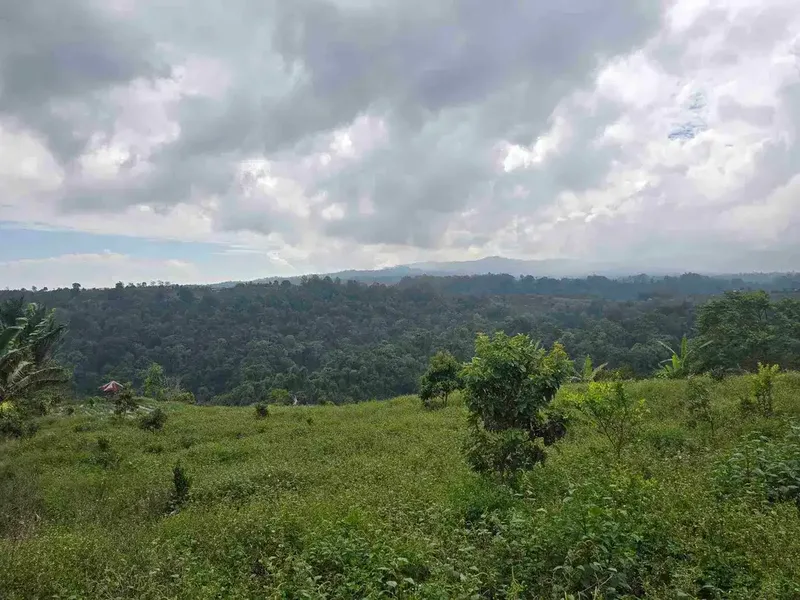 Dijual tanah view lembah sangat cantik di kintamani bali - Real Estate in Bali