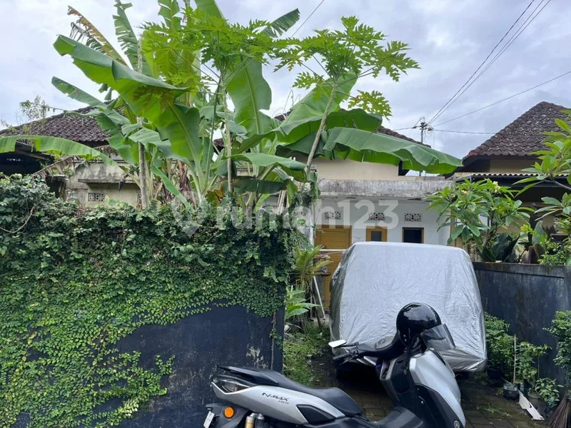 Rumah Siap Lelang Btn di Tabanan, Bali - Real Estate in Bali