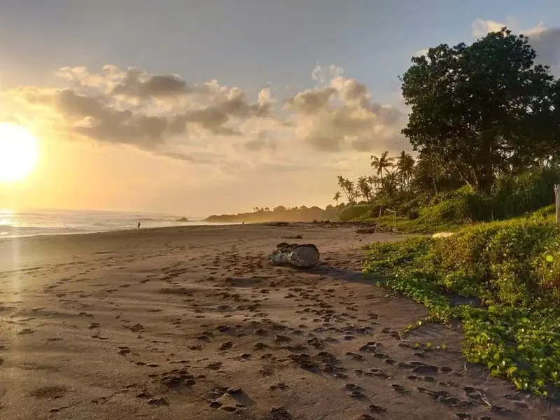 Tanah Beach Front Pantai kedungu Tabanan Bali - Real Estate in Bali