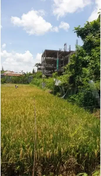 Tanah sewa 20 are di Seminyak - Real Estate in Bali