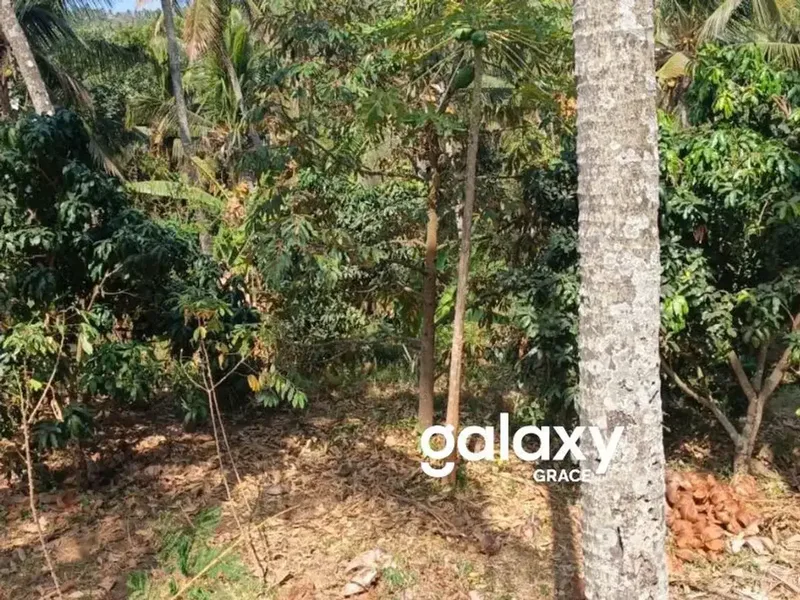 DIJUAL TANAH DI KUBUTAMBAHAN BULELENG - Real Estate in Bali