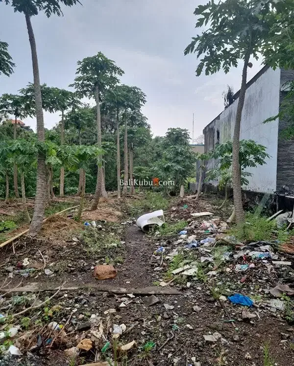 AMS-070.RGL Jual Tanah Kavling Murah di Perumahan Exclusive di Tabanan - Real Estate in Bali