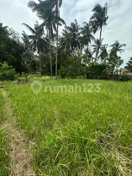 Tanah Siap Bangun Zona Kuning Lodtunduh Ubud - Real Estate in Bali