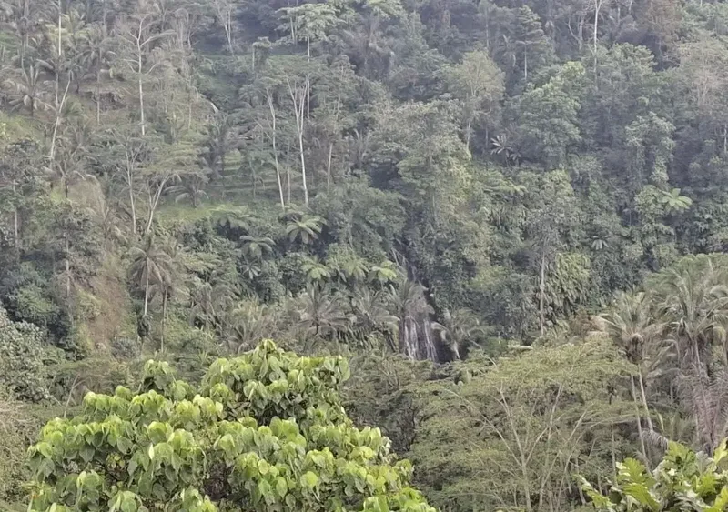Dijual tanah los sungai besar dan view air terjun, gunung dan sawah - Real Estate in Bali