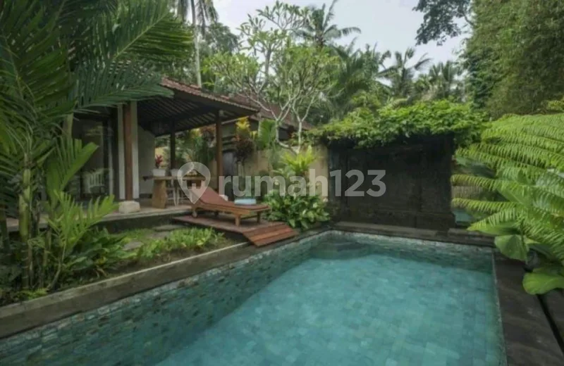 Villa Dijual Lokasi Sebali Tegallalang Ubud - Real Estate in Bali